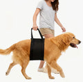 PORTABLE DOG HARNESS