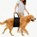PORTABLE DOG HARNESS