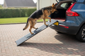 Extra Long  Non-Slip Folding Dog Ramp -  Helps  Dogs Get In and Out of Cars Easily Reducing Strain on Legs and Joints
