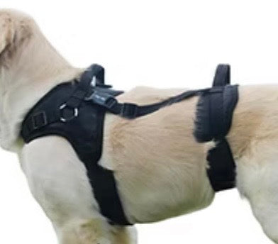 Padded Support Harness With Front and Rear Handles -  Helps Dogs With Mobility Issues