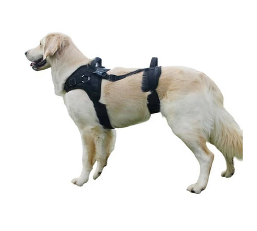 Padded Support Harness With Front and Rear Handles -  Helps Dogs With Mobility Issues
